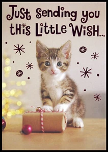 Greeting Card - Cat Kitten Tabby - Christmas - 0121 - Picture 1 of 2