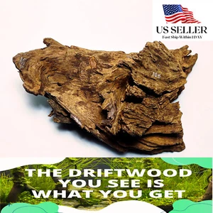 NATURAL MANGROVE DRIFTWOOD #311 WYSIWYG - AQUASCAPING, SUPER PRICE!! DECORATION - Picture 1 of 7