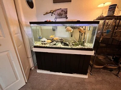 аквариум - Изображение 1 из 4