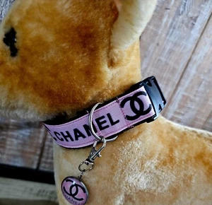 Elegant dog collar, collar for dog, luxury collar for dog with removable tag LRG - Picture 1 of 4
