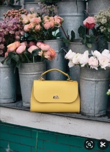 Cambridge Satchel Brand New The Daisy Full Size Yellow Matte BNWT - Picture 1 of 22