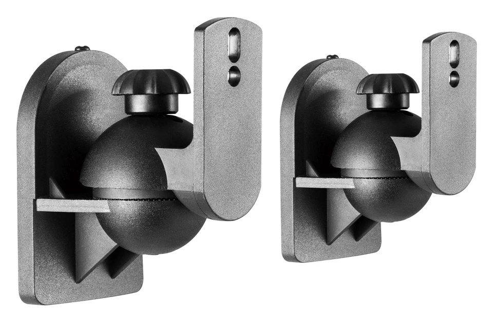 RICOO Lautsprecher Wandhalterung Boxen Wand Halterung für Lautsprecher LH028