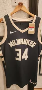 NWT 2022 Nike Icon Swingman Mikwaukee Bucks Giannis Antetokounmpo 34 Jersey 48 - Picture 1 of 12