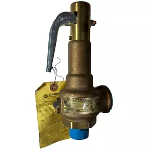 Apollo Valves 19KFEL120 Safety Relief Valve - Ships FREE - Picture 1 of 6