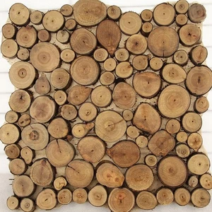 100pcs Natural Pine Wood Slices Round Disc Tree Bark Nice Chips Circ Craft D9R6 - Picture 1 of 9