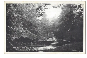 Marshalls Creek, PA Die Kiefern und Fußgängerbrücke in der Nähe von Berghaus Postkarte - Bild 1 von 2