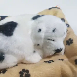 Puppy dog plush figure life-like young sleeping cushion 15cm lifesize white - Picture 1 of 12