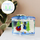 Clear LED Betta Tank - Stylish Décor for Home and Office