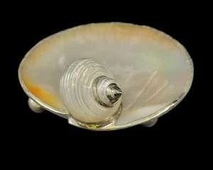 SEASHELL Footed Trinket Tray  - Picture 1 of 7