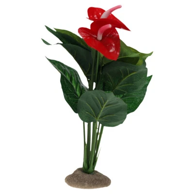 Terra Della Dekoration Anthurium grün 12x10x30 cm Terrarienpflanze Deko