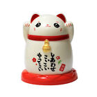 Zahnstocherspender Box Dekorativ Feuchtigkeitsbestndig Cartoon China Lucky Cat