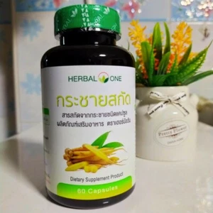 Kaempfer Ginger Finger Root Extract Capsules Super Food Herb Healthy Thailand - Picture 1 of 2