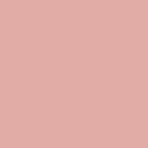 Confetti Cotton Riley Coral by RBD Designers for Riley Blake, 1/2 yard - Picture 1 of 1