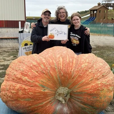 2 semillas de calabaza gigante del Atlántico de la calabaza más pesada cultivada en Illinois 2024 Foto 1 de 4