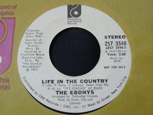 DEMO PROMO SOUL-THE EBONYS-LIFE IN THE COUNTRY-PIR - Foto 1 di 2