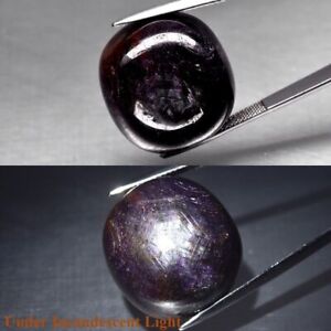Certified Huge 80.30Ct Natural Purple-Red 6 Ray Star Ruby Cushion Cab Gem See VD