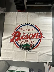 Banner de equipo de béisbol menor AAA Buffalo Bisons de colección - Imagen 1 de 6