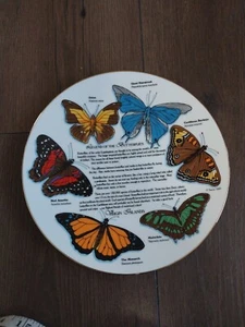 Plato colgante de cerámica Legend Of The Butterflies JAPÓN 8,25" - Imagen 1 de 3