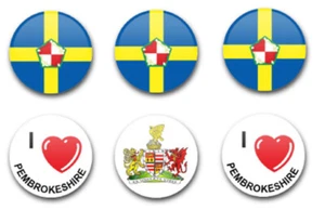 25 MM 1 ZOLL KNOPFABZEICHEN PEMBROKESHIRE X6 - Bild 1 von 1