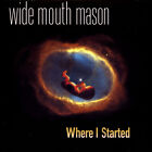 Wide Mouth Mason - Where I Started (Vinyl LP - 2023 - US - Original)