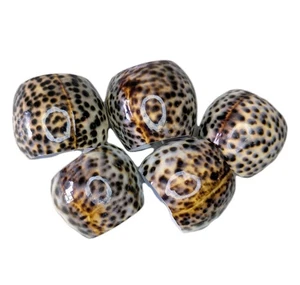 Set of 5 Vintage Tiger Cowrie Sea Shell Napkin Ring Holders Nautical Table scape - Picture 1 of 11