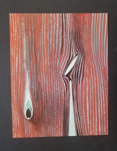 Max Ernst "Blind Swimmer"(Effect of Touch) Mounted Offset Lithograph Print 1977 - Picture 1 of 3