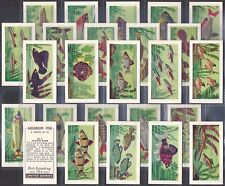 UNITED DAIRIES-FULL SET- AQUARIUM FISH 1962 (25 CARDS) EXCELLENT+++