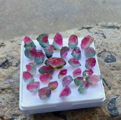 59Ct 5x6 to 7x12 MM AAA Top Quality Natural Watermelon Tourmaline Rough 29 Piece - Image 1 of 4