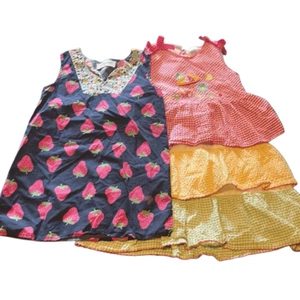 Petit Peony Strawberry Print B.T. Kids Seersucker Embroidered Tier Dress Girls 5 - Picture 1 of 14