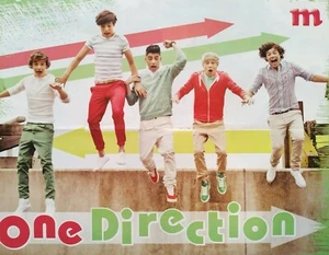 ONE DIRECTION - A2 Poster (XL - 40 x 52 cm) - 1D Liam Payne USA Clippings NEU - Bild 1 von 1