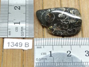 AGATE TURITELLE pierre roulée mineraux lithotherapie collection esoterisme reiki - Imagen 1 de 3
