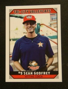 2019 Choice, Tri-City ValleyCats, Hitting Coach - SEAN GODFREY - Picture 1 of 1
