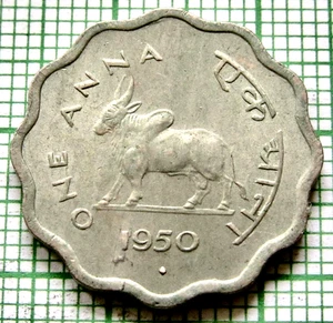 INDIA Republic 1950 ONE ANNA, ZEBU & Ashoka Lion Capitol Scalloped Bombay UNC - Picture 1 of 6