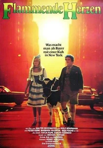 Barbara Valentin Peter Kern FLAMMENDE HERZEN Original Filmplakat A1 GEROLLT - Picture 1 of 1