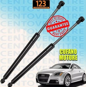 Molle a Gas Cofano MOTORE AUDI TT 8J3 AUDI TT ROADSTER - Foto 1 di 4