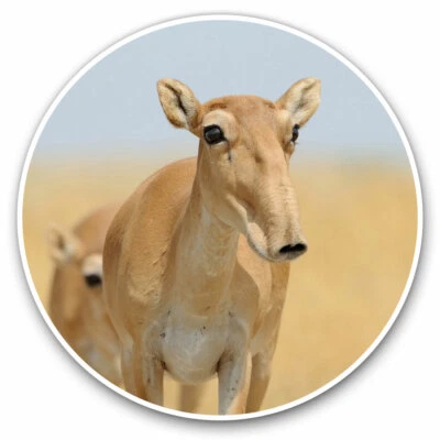 2 x Vinyl Aufkleber 20 cm - Saiga Antilope Wildtier cooles Geschenk #3632 - Bild 1 von 4