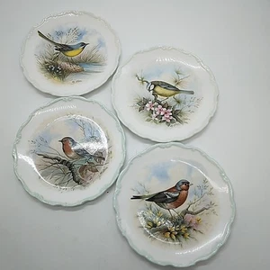 X4 Royal Albert, The Woodland Birds Collection, Decorative Plates, Bone China - Picture 1 of 19
