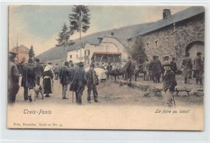 Belgique - TROIS-PONTS (Liège) La foire au bétail - Ed. Nels Série 20 N. 34 - Bild 1 von 2