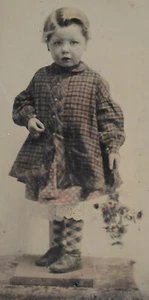 Vintage 1855 TINTYPE ADORABLE GIRL Alexander-Work-Cudworth Family MI IN N1 - Picture 1 of 3
