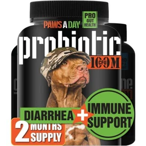 Canine Probiotics for Dogs - Diarrhea Relief Flora & Immune Support - 60 Chews - Picture 1 of 6