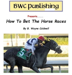 How To Bet On The Horse Races - Picture 1 of 1