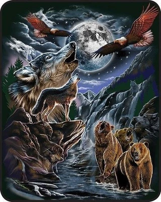 Queen Size 7 Hidden Wolves Night Moon Fantasy Super Soft Plush Blanket Faux Fur - Image 1 of 2