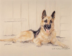 GERMAN SHEPHERD DOG GSD ALSATIAN LIMITED EDITION PRINT - Artist Proof # 6/85 - Picture 1 of 1