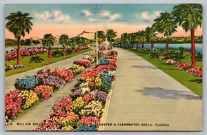 Cartolina Milioni di Dollari Causeway che collega Clearwater & Clearwater Beach FL - Foto 1 di 2