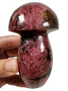Rhodonite Crystal Polished Mushroom Stone 304 grams. - Picture 1 of 3