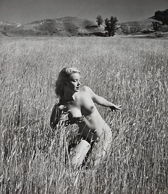Foto modelo desnudo Andre De Dienes impresión gelatina plateada 1960 Joshua Tree Park, certificado de autenticidad Foto 1 de 4