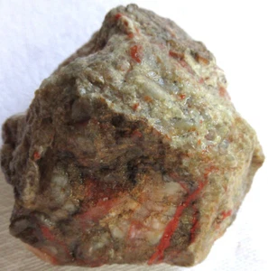 Coprolite - Rough - Dinosaur Poo - Dino Dung - Utah - 255 grams - Picture 1 of 7