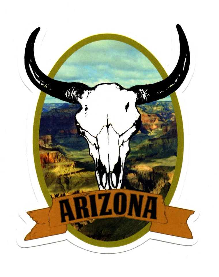 ARIZONA Longhorn   US Aufkleber Durchmesser ca. 8,5 cm x 6 cm - Bild 1 von 1