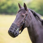 Shires Freegraze Comfort Grazing Grass Muzzle, Padded Nylon, Horse or Pony