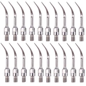 20X Dental Ultrasonic Piezo Scaler Scaling Endo Perio Tip PS3 Fit SIRONA Scaler - Picture 1 of 7